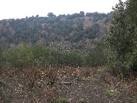 nte Ilice-20110120 053